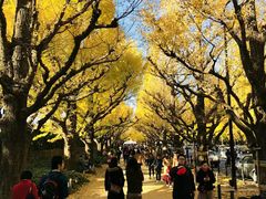 -成都濑川外国语学校