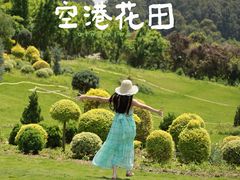 -空港花田景区