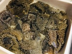 捞派毛肚-海底捞火锅(连城广场店)