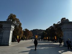 -徐州龟山景区
