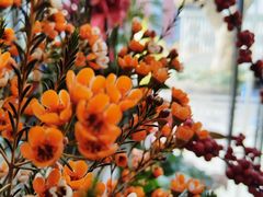 -FEI FEI FLOWER鲜花店·气球派对·宝宝宴布置(虹口德必运动Loft店)