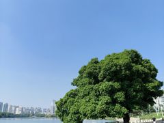 -南宁南湖公园