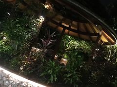 -厦门日月谷温泉渡假村