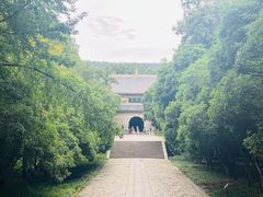 -灵谷景区