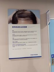 -碧莲盛不剃发植发