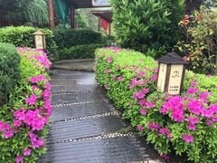 -庐山天沐温泉度假村