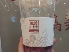 -1828王老吉·草本新茶(珠江新城地铁站店)