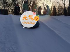 -1982农场