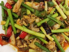 小炒毛贝-西新饭店(城中店)