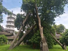 -国恩寺