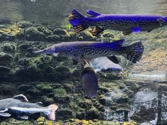 -古龙峡漂流