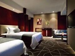 -常州环球恐龙城维景国际大酒店