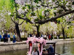 -元大都城垣遗址公园