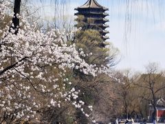 -农园餐厅(北京大学店)