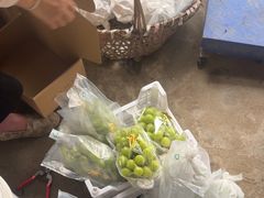 -马陆小张葡萄园农家乐