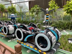 -南宫五洲植物乐园