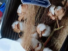 -植物学家的女儿(北马道巷店)