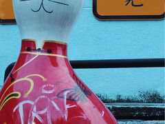 -猫咪博物馆(顶澳仔猫街店)