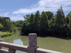 -八大山人梅湖景区