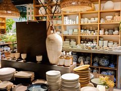 -自由生长植物工作室(深港花卉中心店)