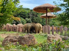 -沈阳森林动物园