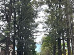 -西昌邛海宾馆