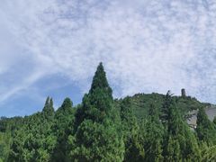 -龙口南山旅游景区