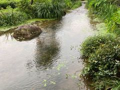 -中国茶叶博物馆(双峰馆区)