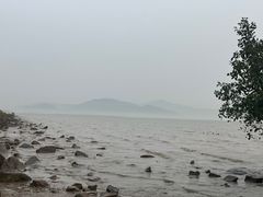 -深圳湾公园(南山区)