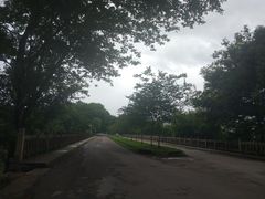 -九曲溪竹筏码头