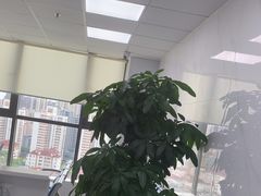 -戴尔笔记本电脑服务器售后维修中心(虹口足球场店)