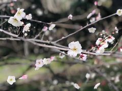 -白塘生态植物园