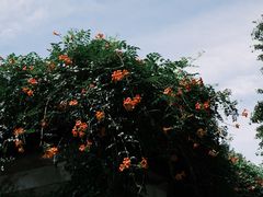 -舒羽咖啡(运河店)