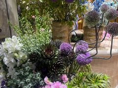 -BEAST野兽派(上海浦东嘉里城店)