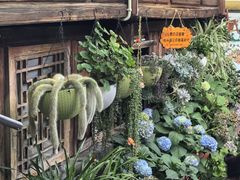 -龙姐私房菜(和顺古镇店)