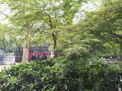 -西湖天地