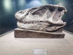 -自贡恐龙博物馆