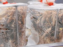 -塘屋烧烤·云南火塘烧烤品牌(联盟路店)