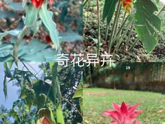 -曼听御花园