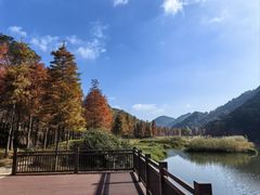 -广州市石门国家森林公园