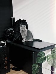 -飛凡TATTOO纹身•原创