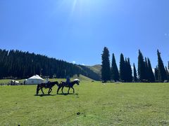 -新疆那拉提国家旅游度假区