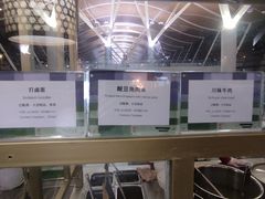 -浦东机场国航头等贵宾室