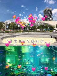 -萌宠亲子动物乐园(槐房万达店)