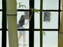 -胶囊画廊
