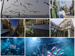 -大连海昌东方水城
