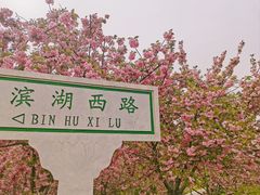-石家庄市植物园