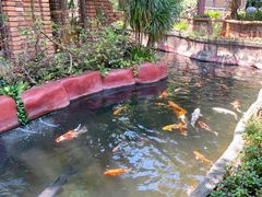 -长鹿旅游休博园