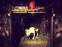 -夜幕浸入式超级密室(望京店)