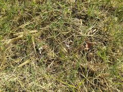 -艾溪湖湿地公园